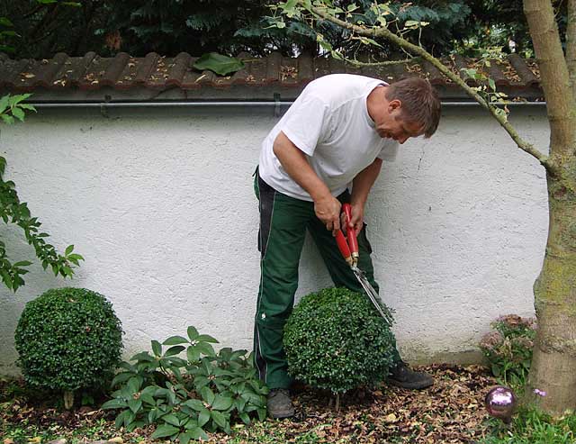 Gartenpflege